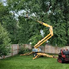 Best Emergency Tree Removal  in Combine, TX